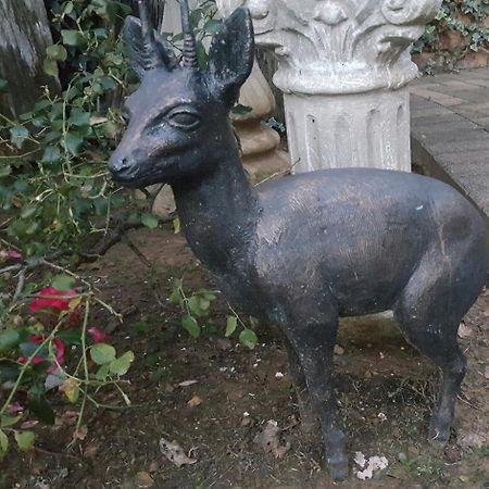 Gemsbok Cottage بيت لحم المظهر الخارجي الصورة